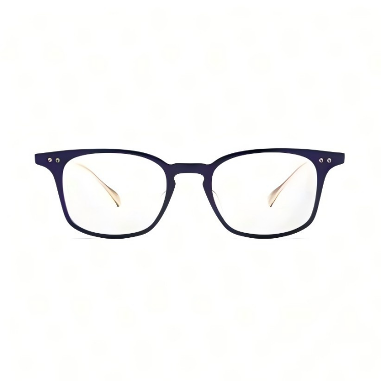 DITA BUCKEYE DRX-2072-C-NVY-GLD-49-AF