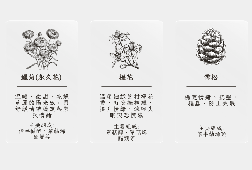 前調:蠟菊 中調:橙花 後調:雪松以及貓