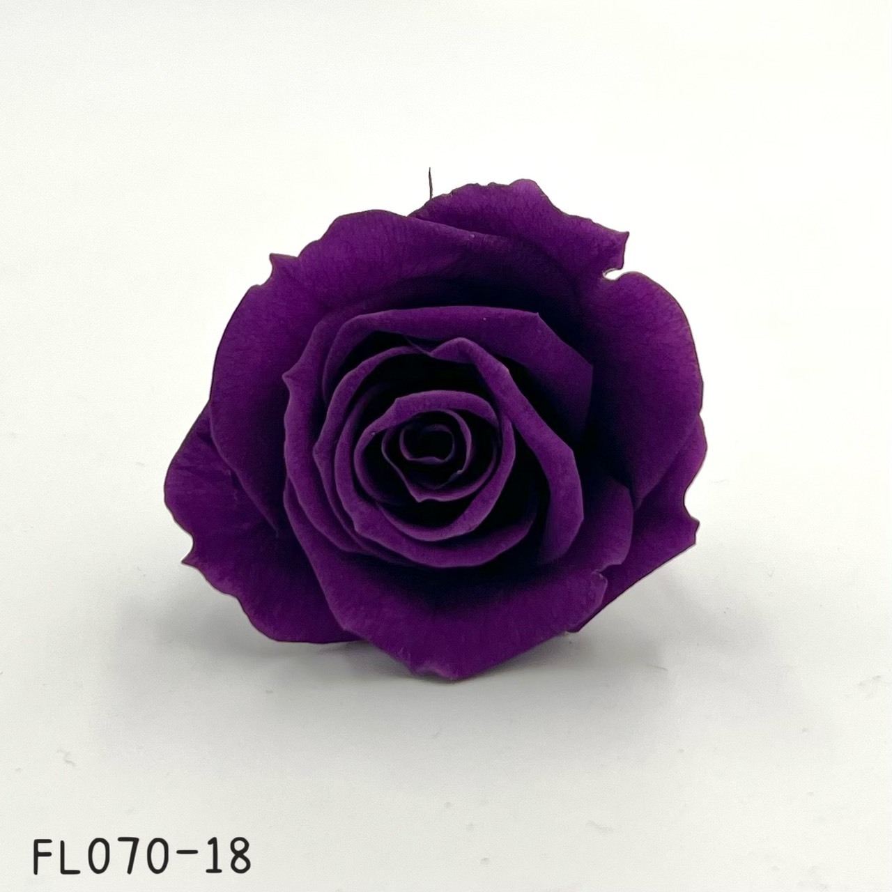 日本不凋中輪玫瑰(8朵) FL070-18