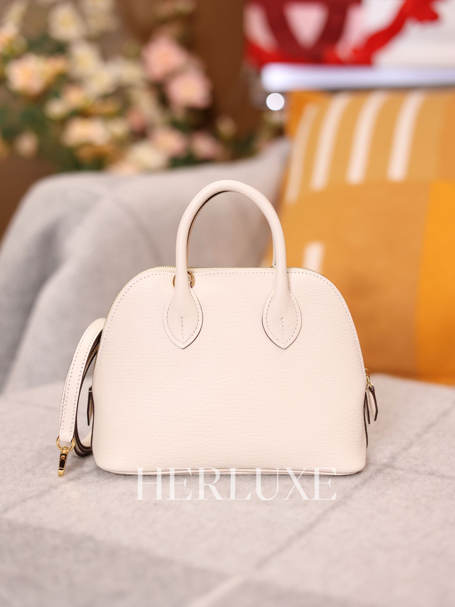 Bolide mini i2 nata cc chevre K