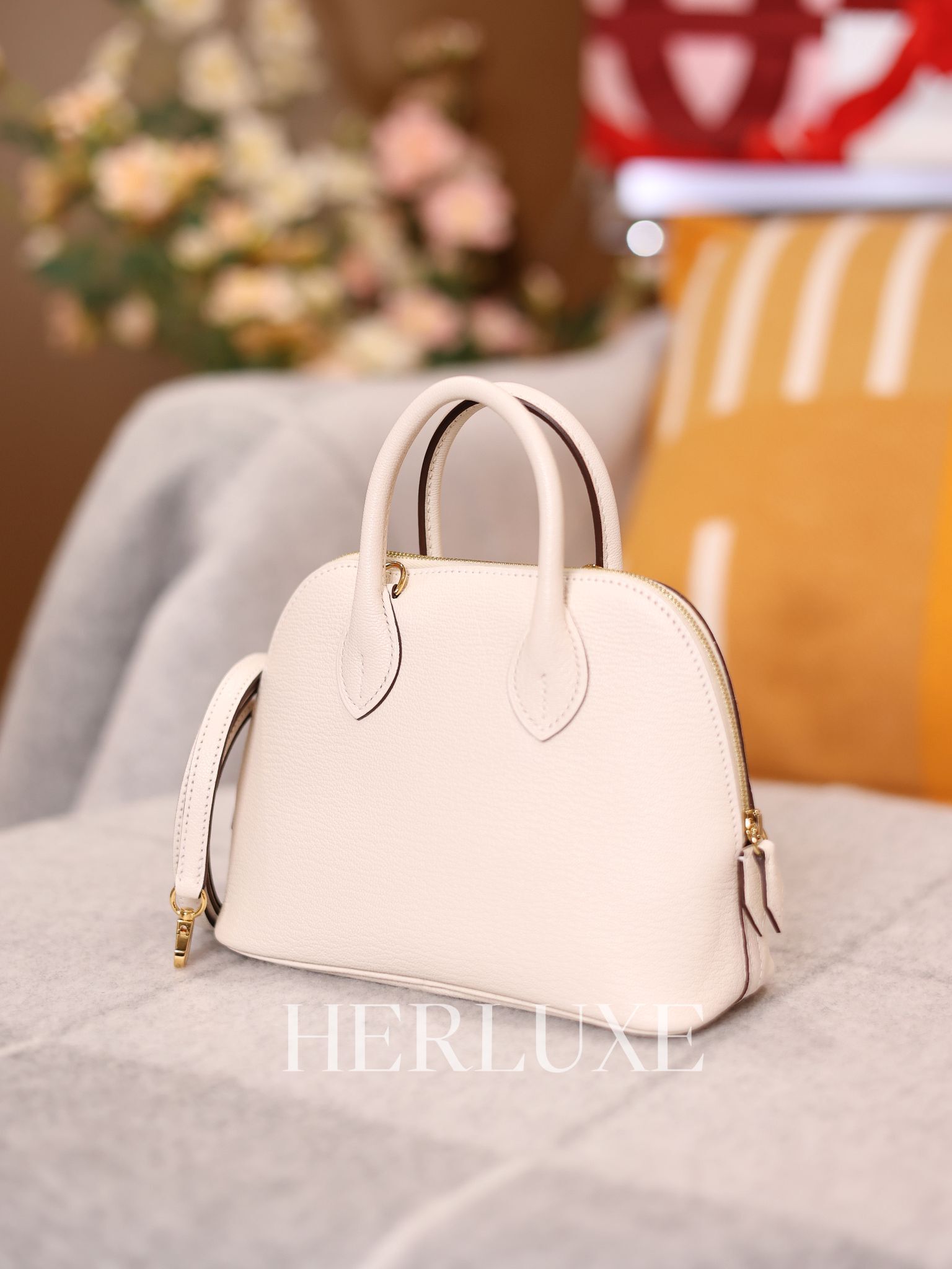 Bolide mini i2 nata cc chevre K