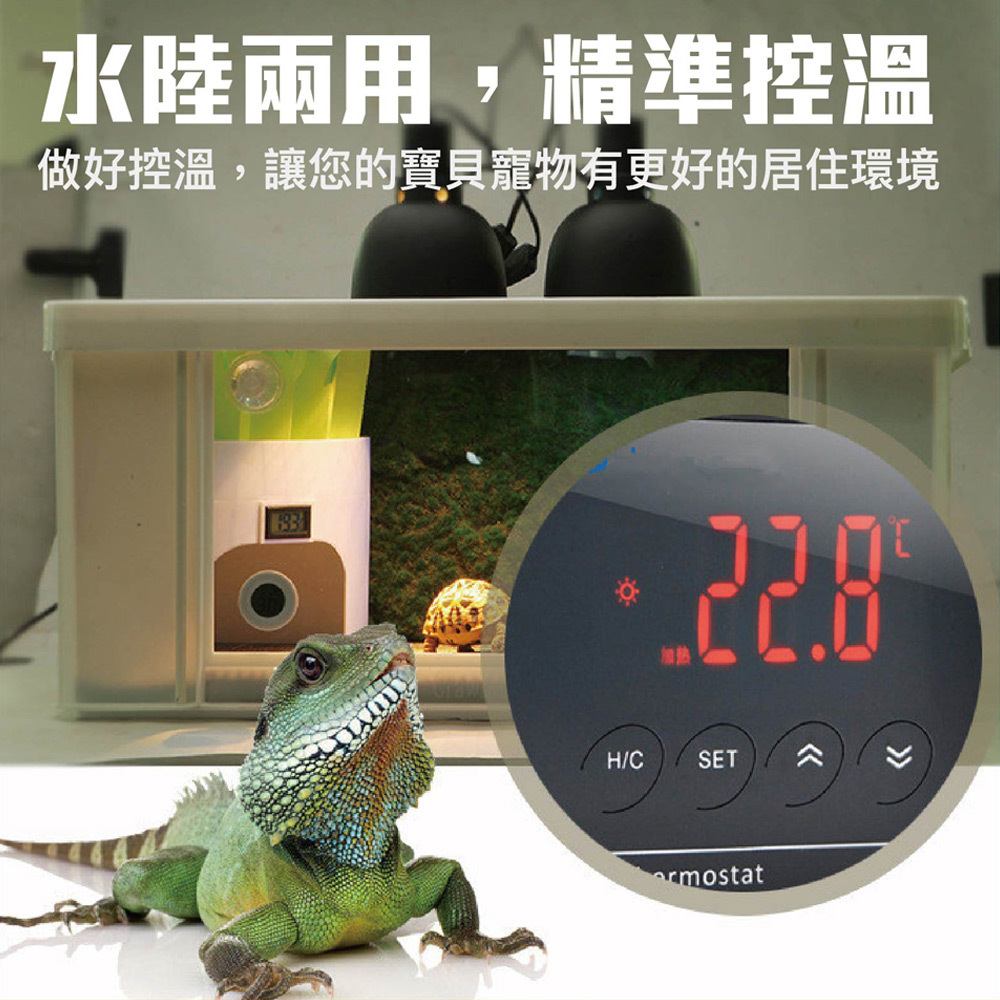 水陸兩用精準控溫多功能爬蟲控溫器