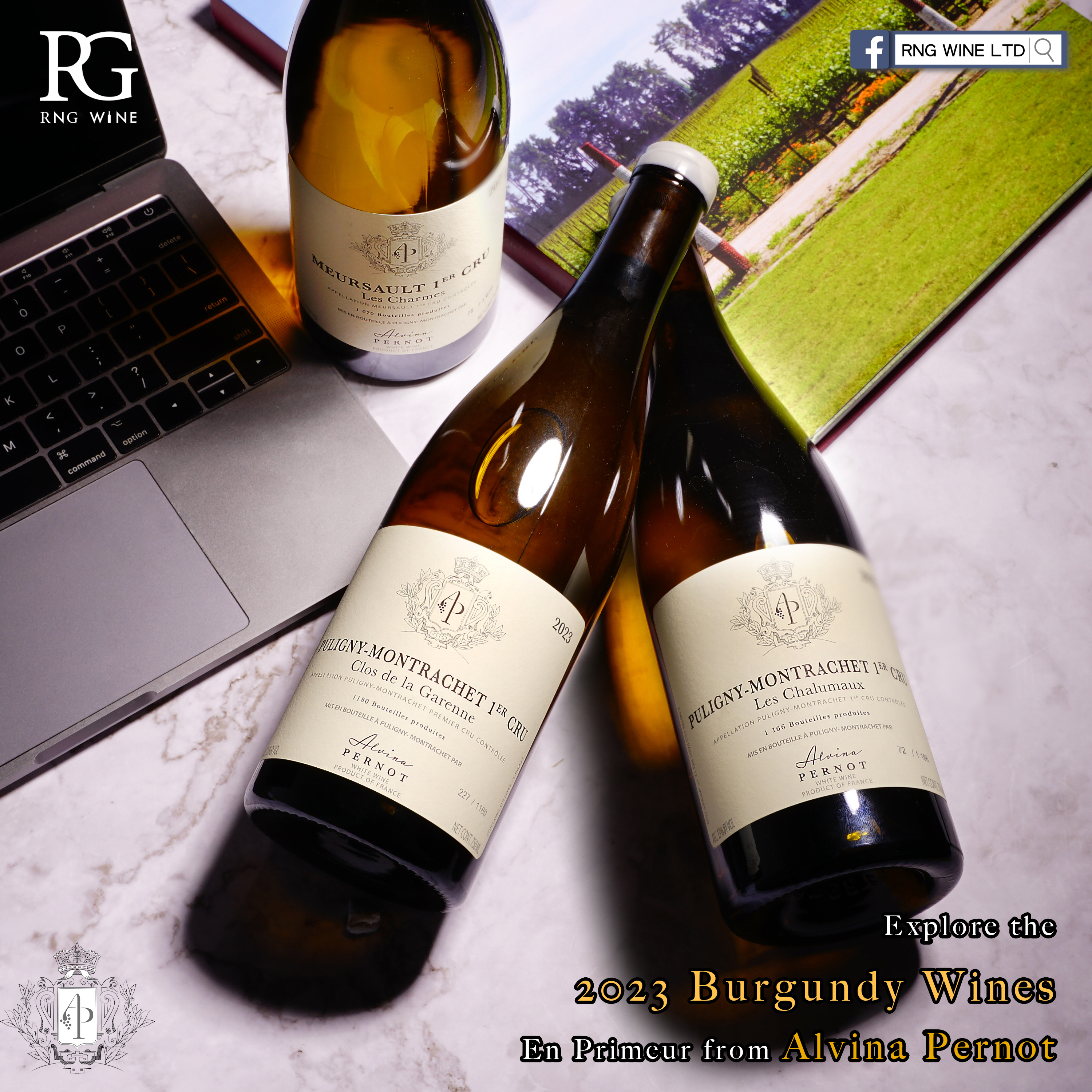 Alvina Pernot Corton Charlemagne Grand Cru 2023 (BH94)