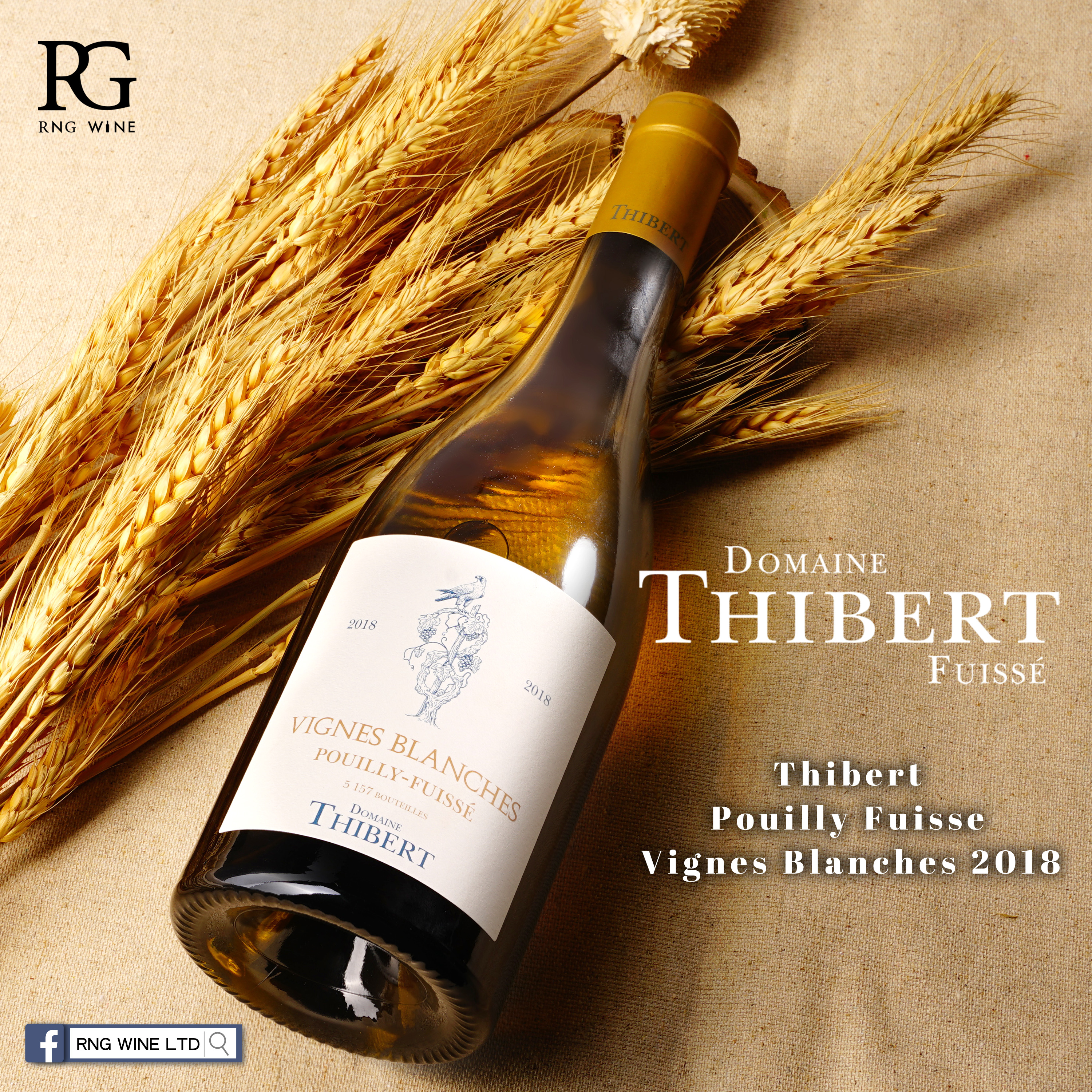 Thibert Pouilly Fuisse Vignes Blanches 2018 (RP93)