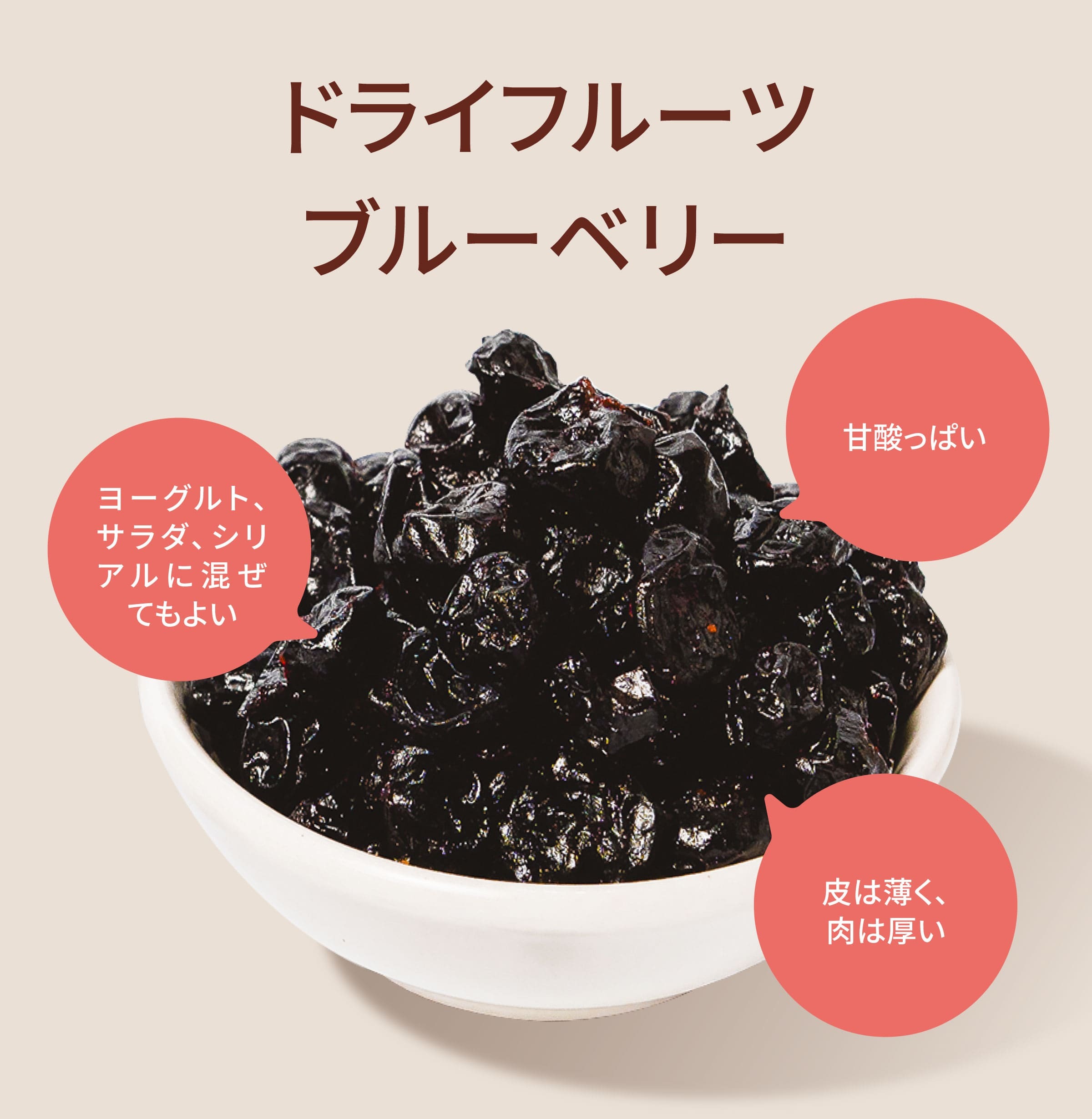 Dengyi ドライフルーツ　ブルーベリーの特徴