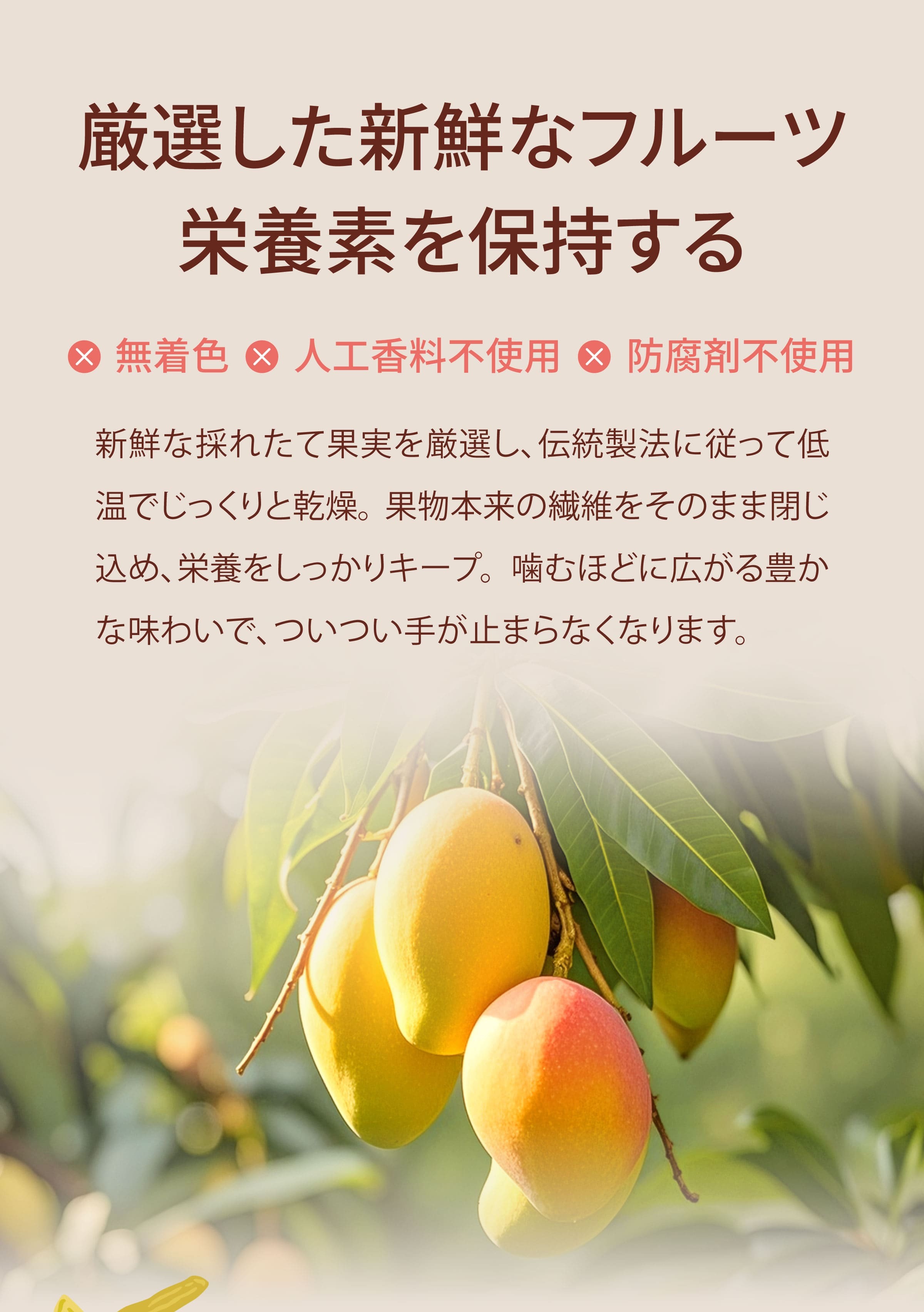 ドライフルーツのメリット