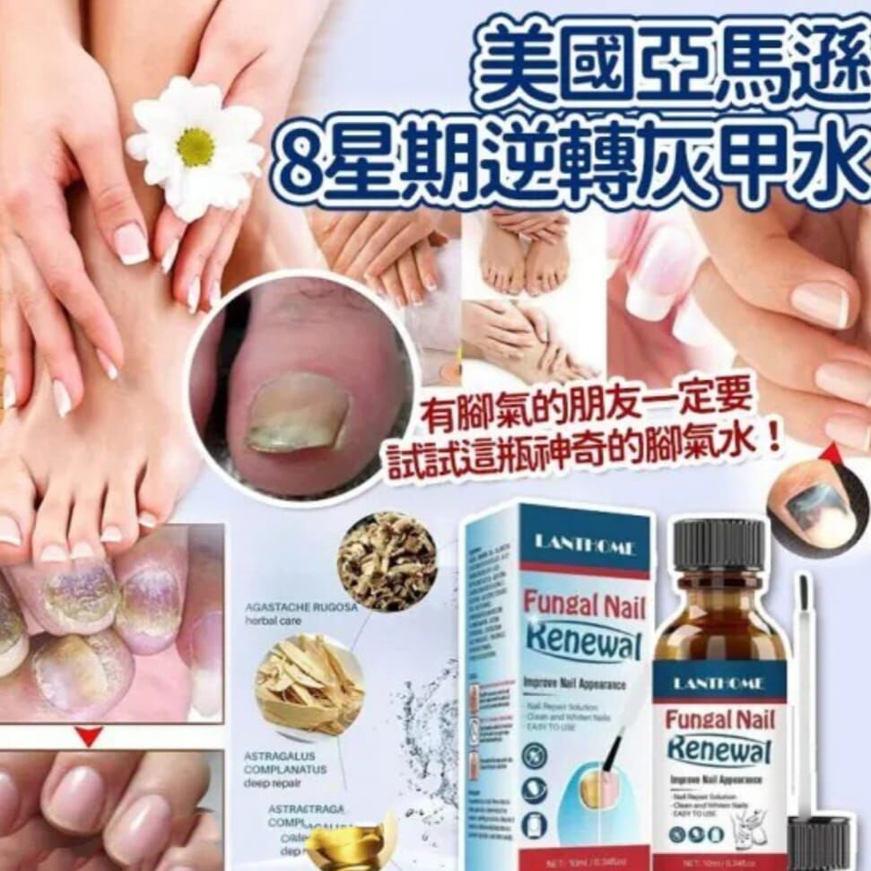 美國亞馬遜8星期逆轉灰甲水 R347 (7至14日寄出)