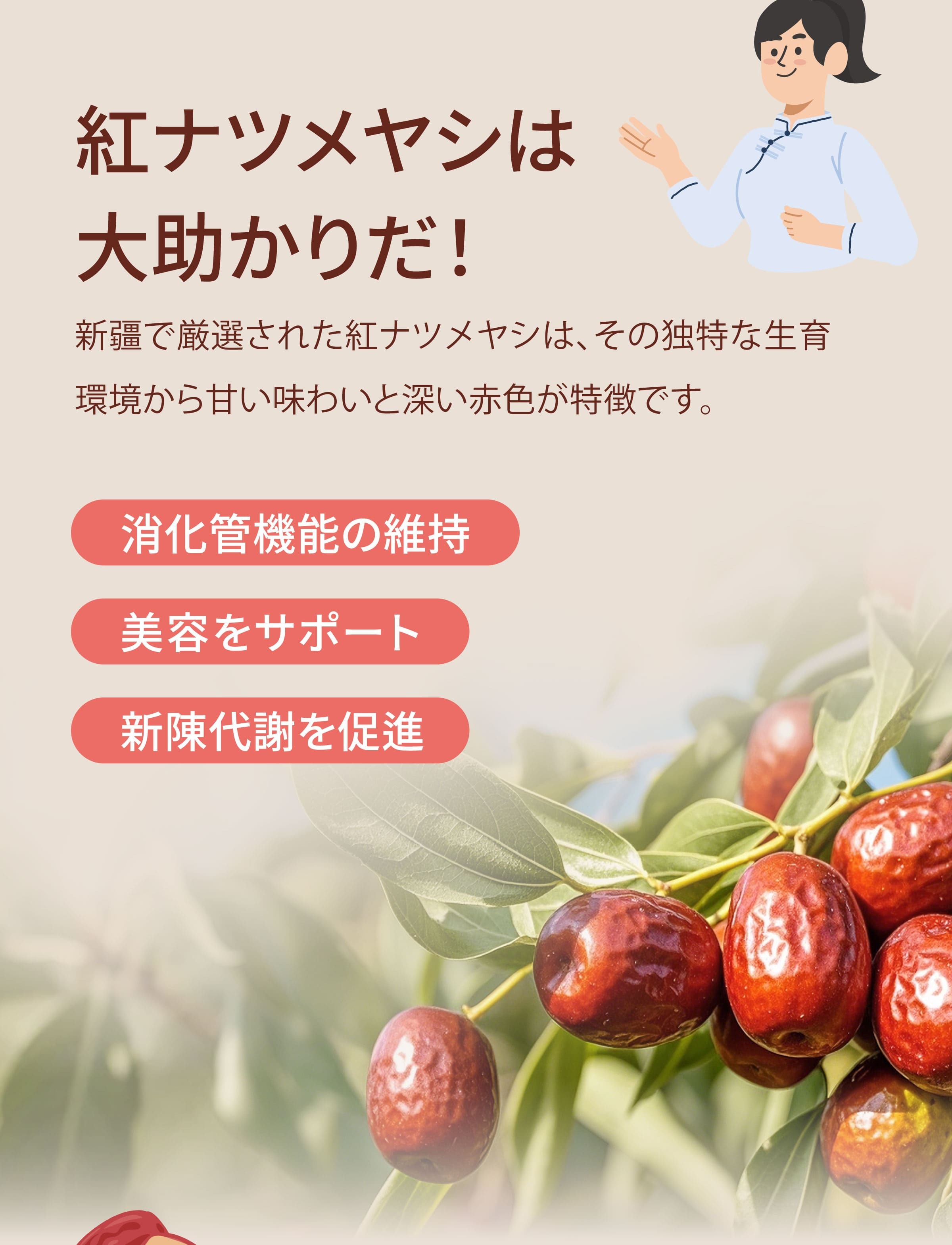 特級なつめの紹介