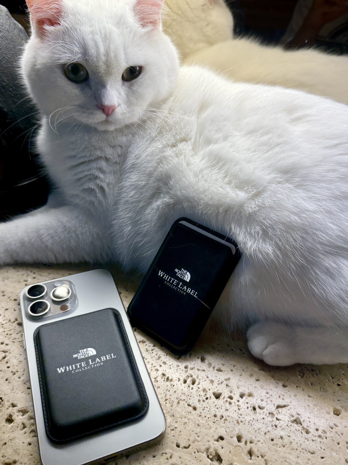 【現貨】韓國限定｜THE NORTH FACE 白標 磁吸手機卡套｜磁吸皮革卡夾