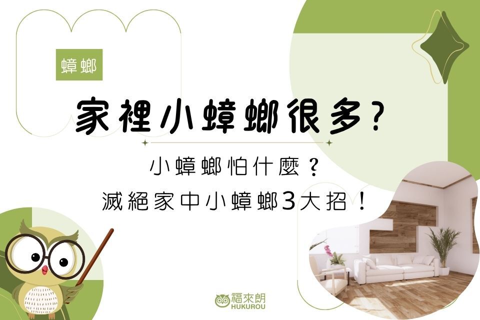 家裡小蟑螂很多怎麼辦？小蟑螂怕什麼？滅絕家中小蟑螂3大招馬上看！