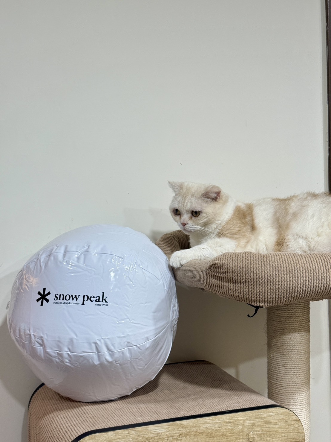 【現貨】SNOW PEAK 夏日沙灘排球 充氣球 游泳池 海邊｜白色／透明 雙色現貨