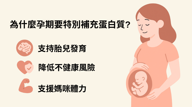 為什麼孕期要特別補充蛋白質?