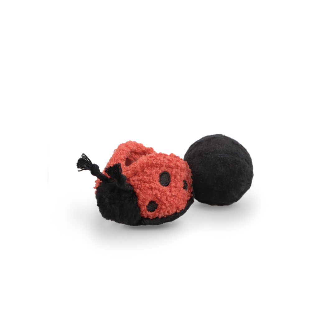 Lambwolf  Ladybug POP - Squeaky + Bouncy