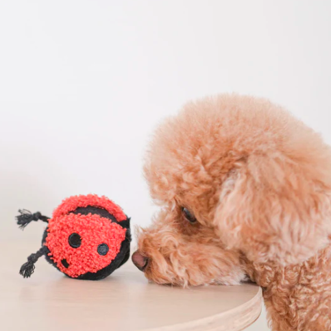 Lambwolf  Ladybug POP - Squeaky + Bouncy