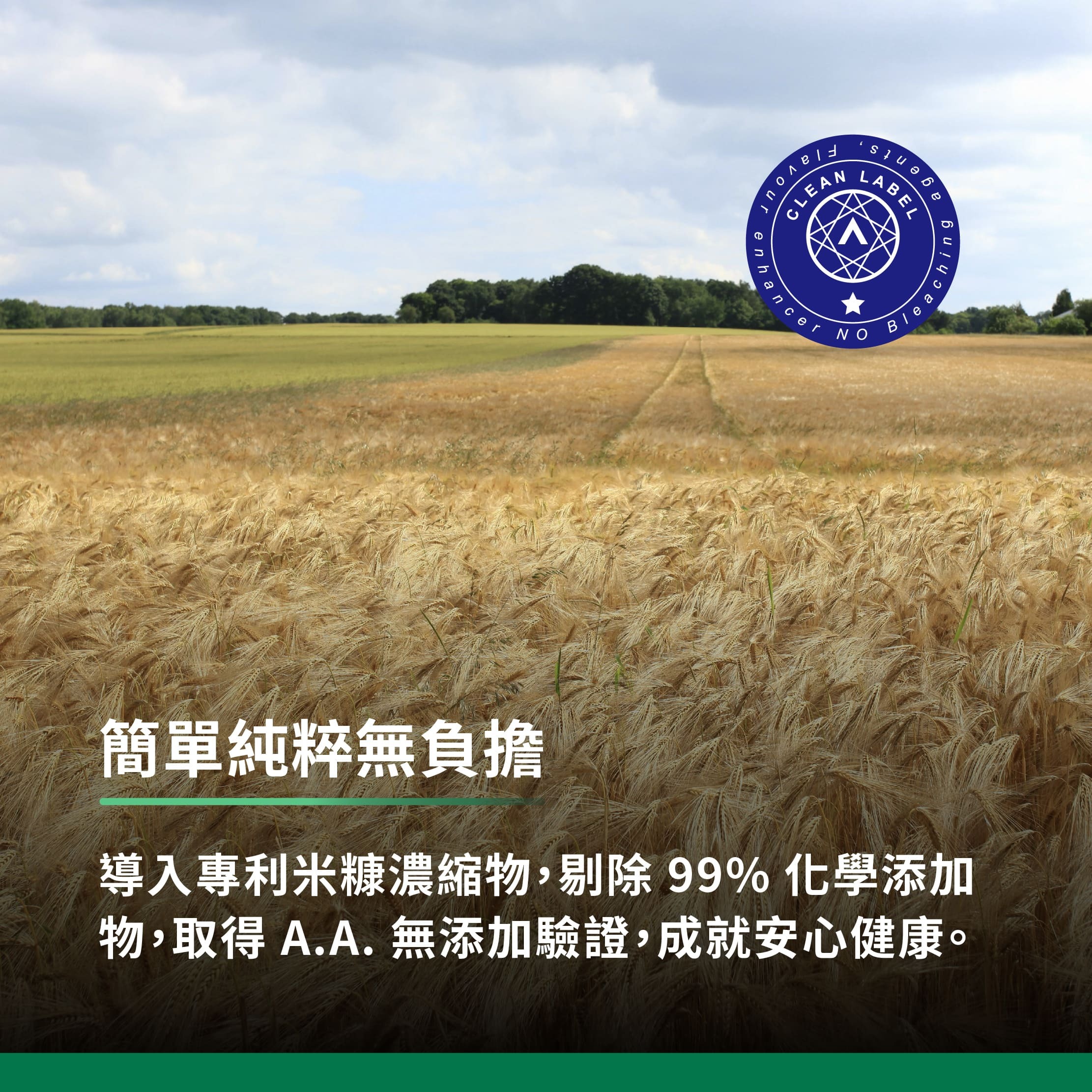 簡單純粹無負擔