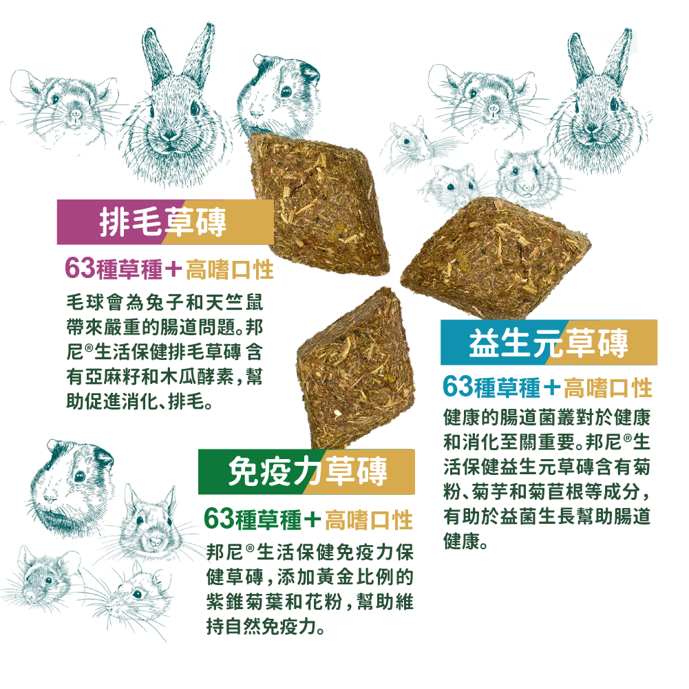 德國邦尼®生活保健-機能草磚