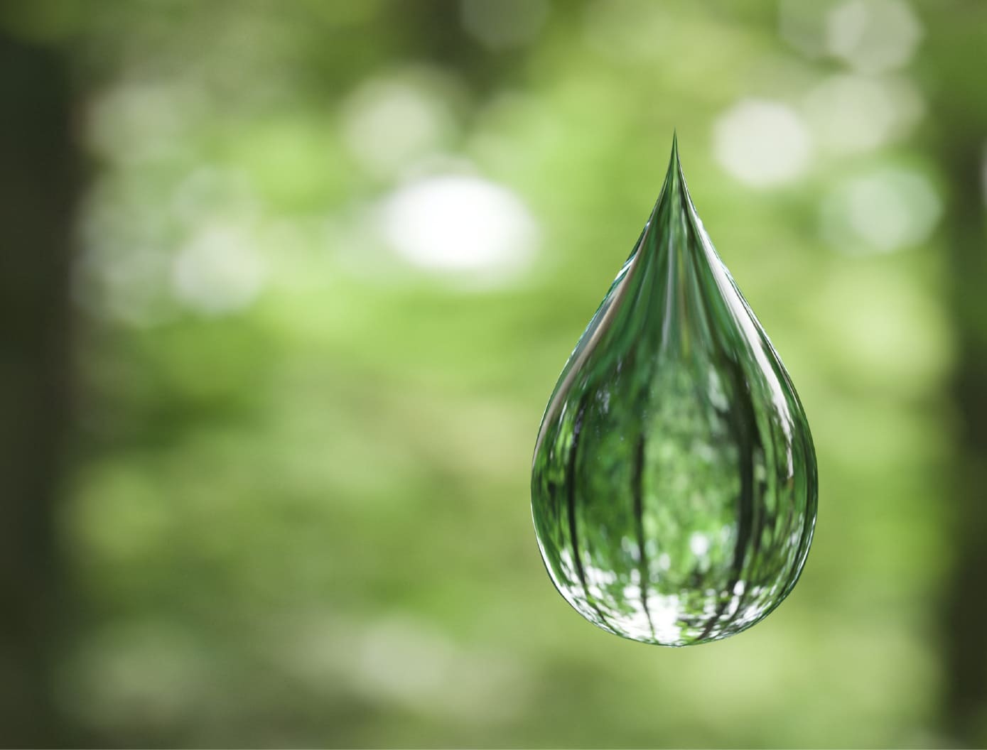 圓酵母穀胱甘肽