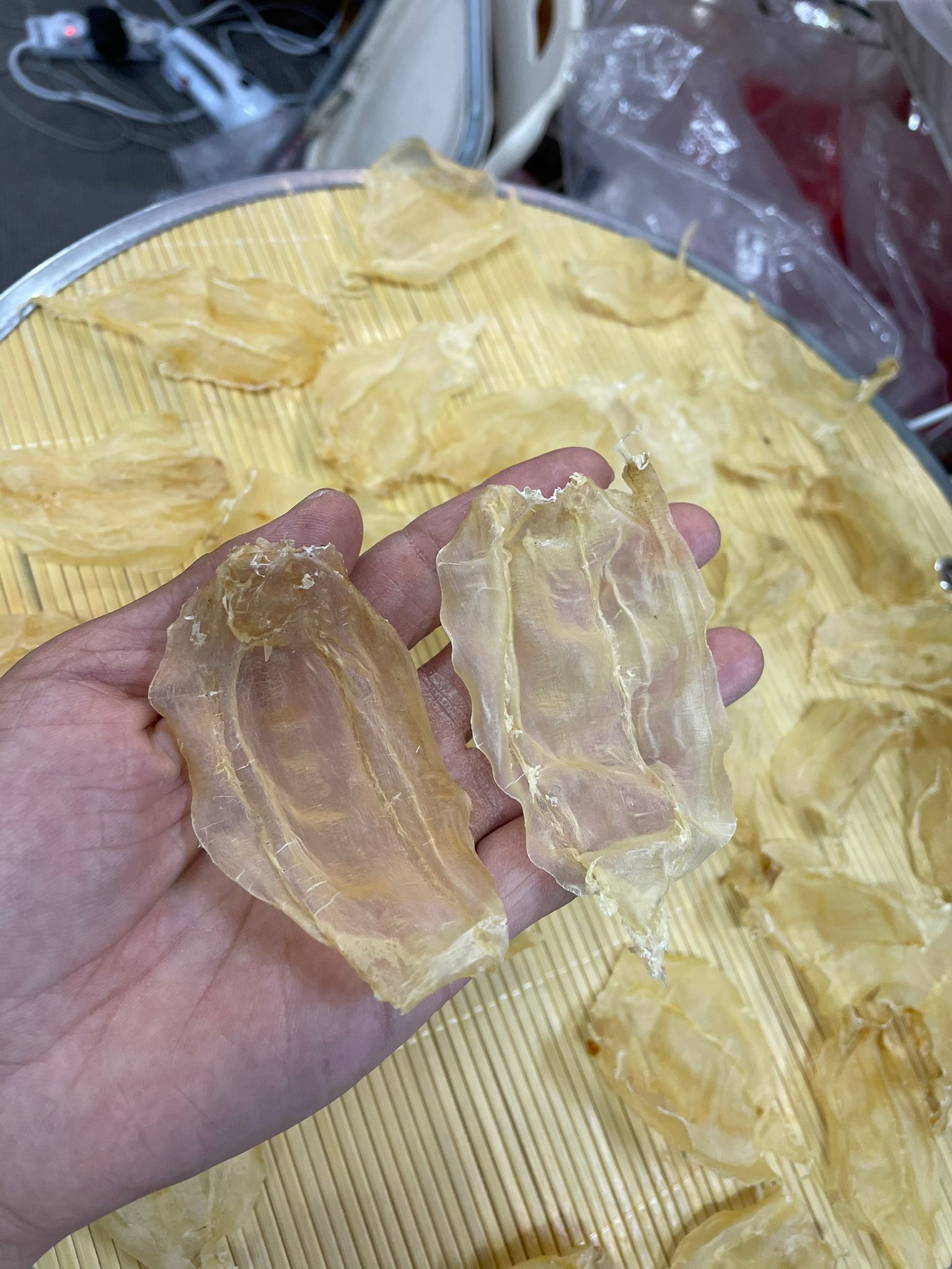 (3771) 特級白花膠13-18隻50G