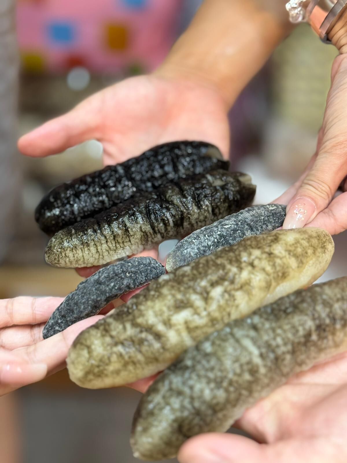 （3774）澳洲禿參皇13至15支