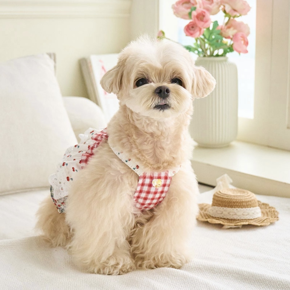 涼夏 Summer Breeze -碎花拼接櫻桃紅層裙- It’s sunny outside