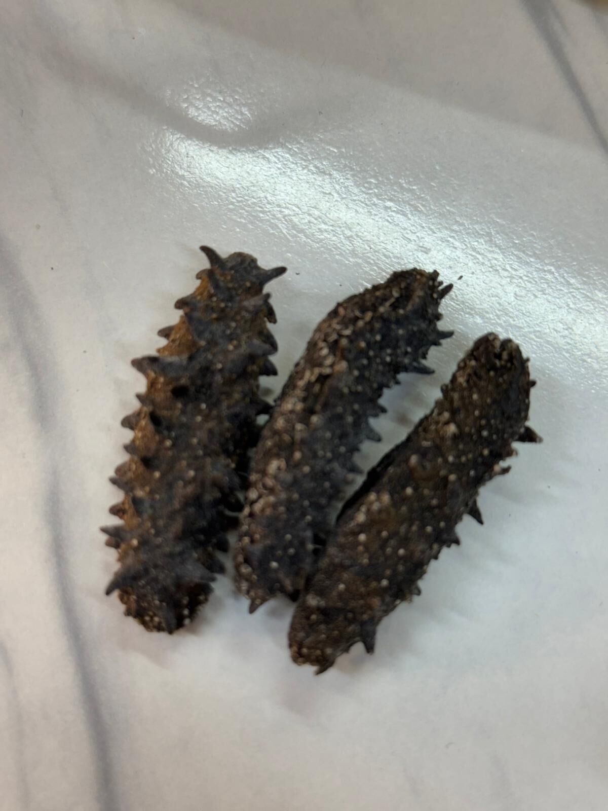 （3775）日本北海道遼參20至25隻