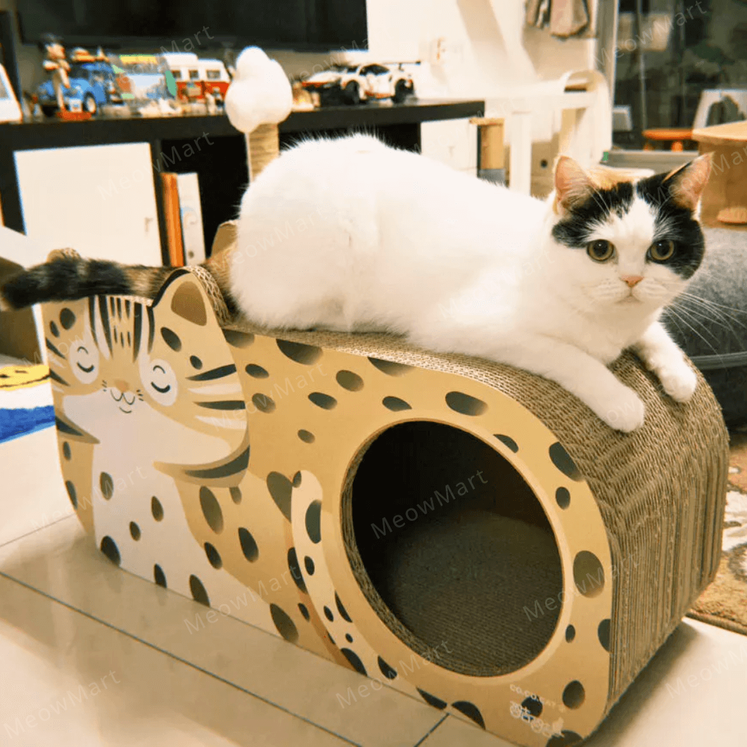 台灣CO.CO.CAT酷酷貓｜石虎貓抓板