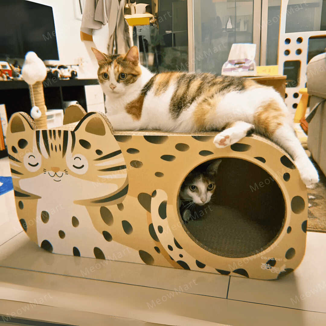 台灣CO.CO.CAT酷酷貓｜石虎貓抓板