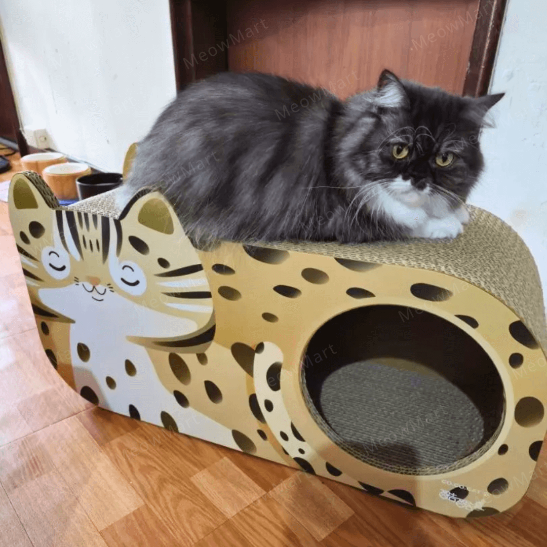 台灣CO.CO.CAT酷酷貓｜石虎貓抓板