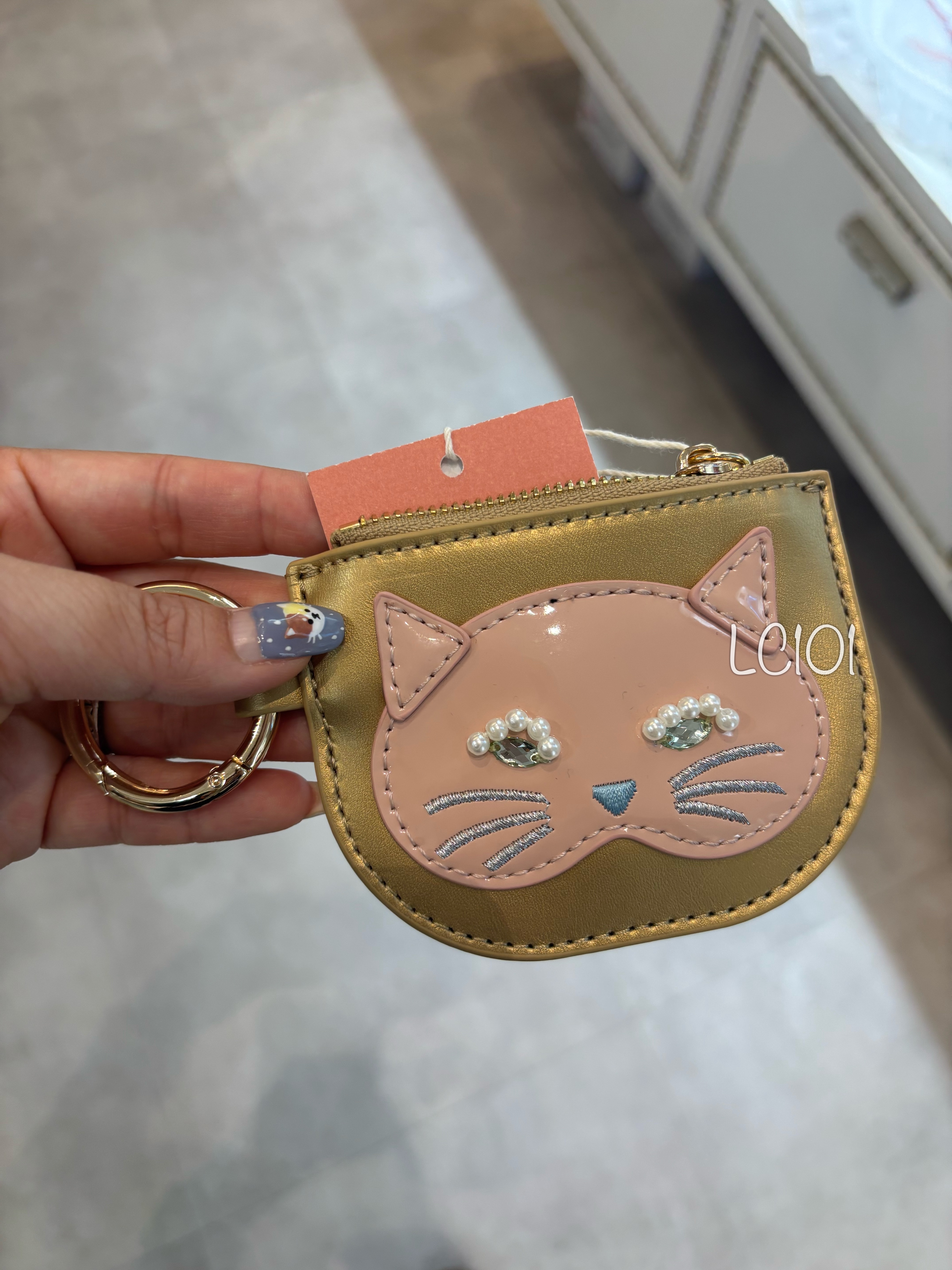 Casselini Coins Case