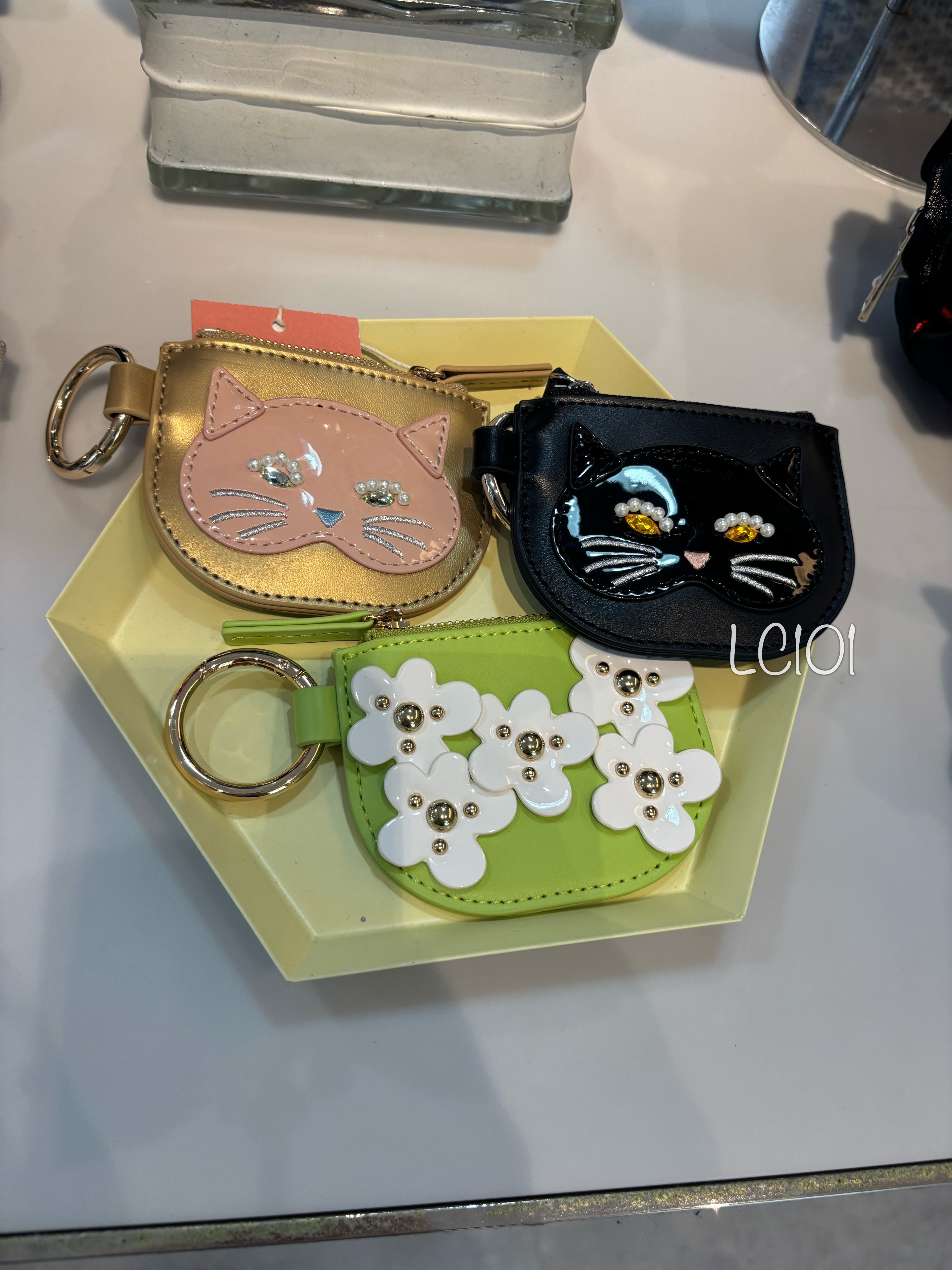 Casselini Coins Case