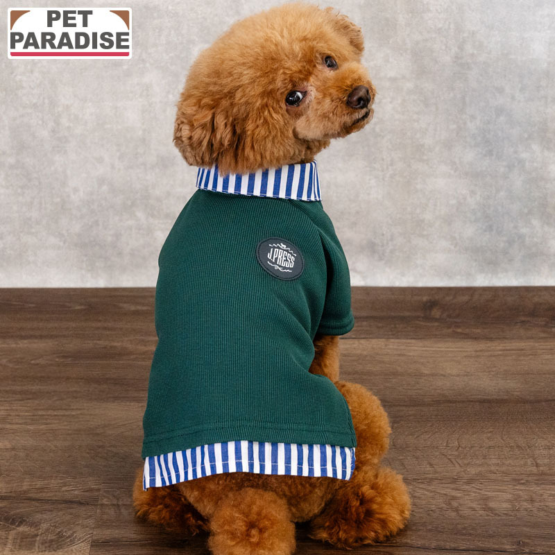 [Pet Paradise] J.Press Top <61439026>