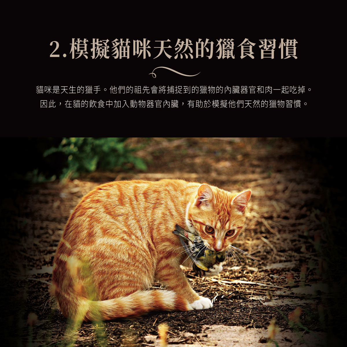 Cherie 法麗｜全照護主食肉泥系列 腎貓友善肉泥 12g*4入