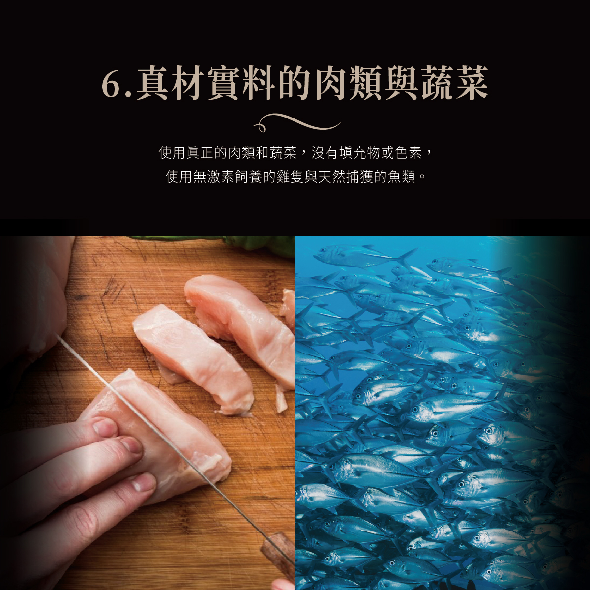 Cherie 法麗｜全照護主食肉泥系列 腎貓友善肉泥 12g*4入
