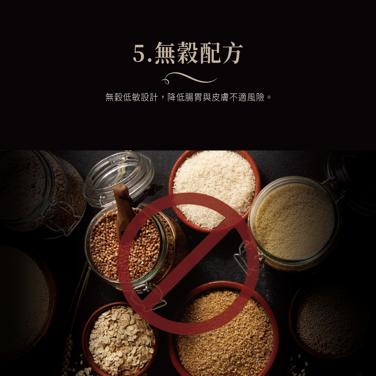 Cherie 法麗｜全照護主食肉泥系列 腎貓友善肉泥 12g*4入