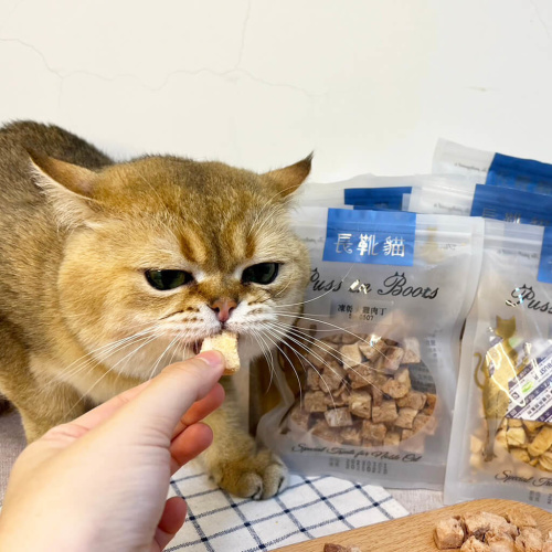 給貓咪專屬的寵愛-長靴貓凍乾
