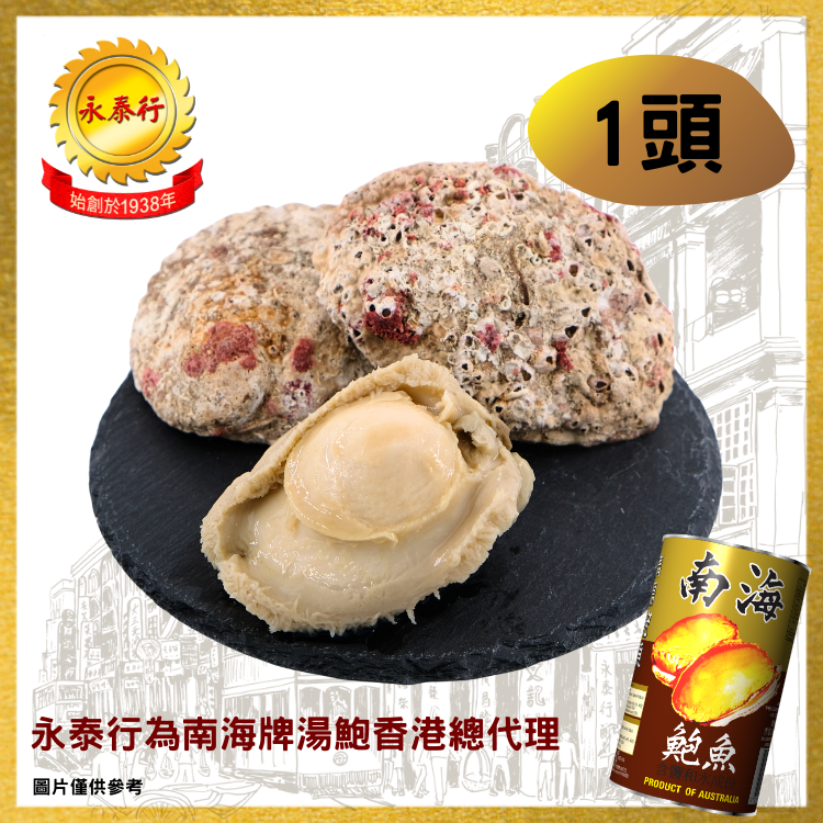 【1頭】南海牌清湯鮑魚