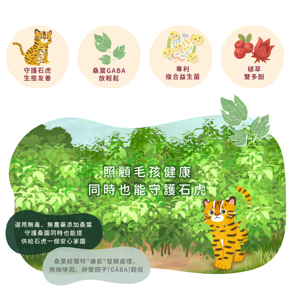 貪貪fun桑泌尿保健粉添加GABA桑葉