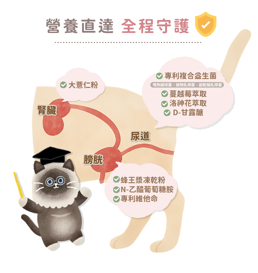 貪貪fun桑泌尿保健粉特殊原料