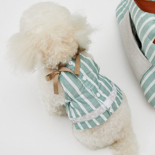 Louisdog La Seta 綠條紋洋裝