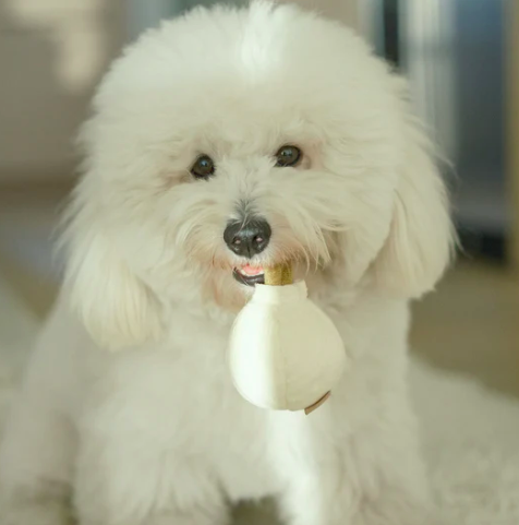 Lambwolf Garlic POP - Bouncy + Squeaky