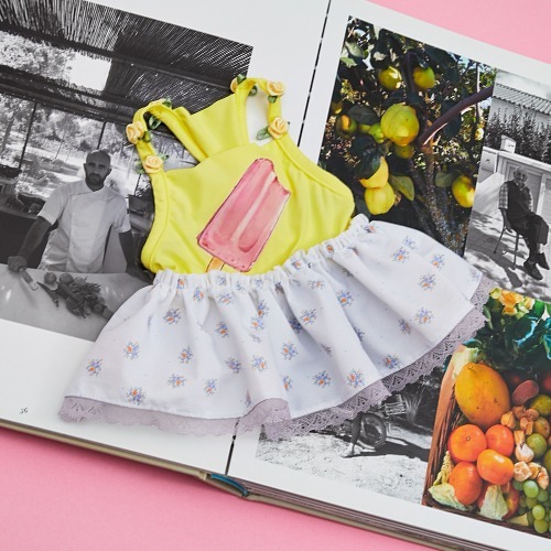 Louisdog Louisdog｜Pool Club 系列／夏日冰棒泳衣