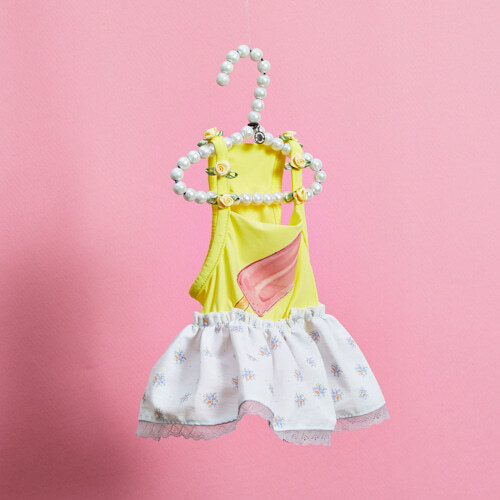 Louisdog Louisdog｜Pool Club 系列／夏日冰棒泳衣