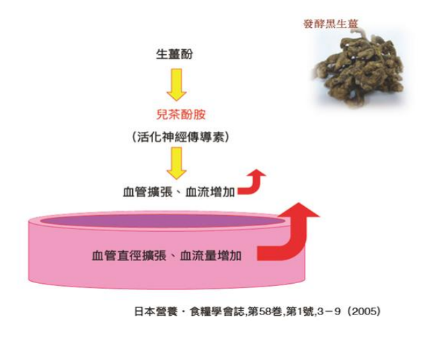 JB25 紅+綠纖素一套 (40粒綠色，20粒紅色) $368/1套(10日量) $988/3套(一個月量) $2788/9套(3個月量) 一次過買2組（即紅+綠 18套裝） ▶️新SRP：$5576/18套✅再免費送多一套紅+綠