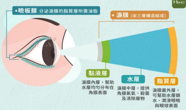 JB27 台灣 SPPT長青 全能葉黃素眼霜 (水汪汪) 16ml $228/1支 $498/3支