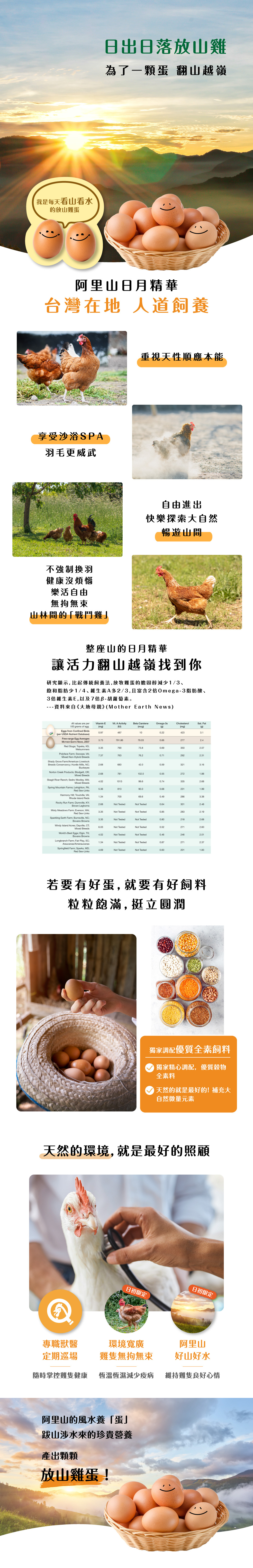 放山雞蛋-放山雞-人道雞蛋-勤億蛋品