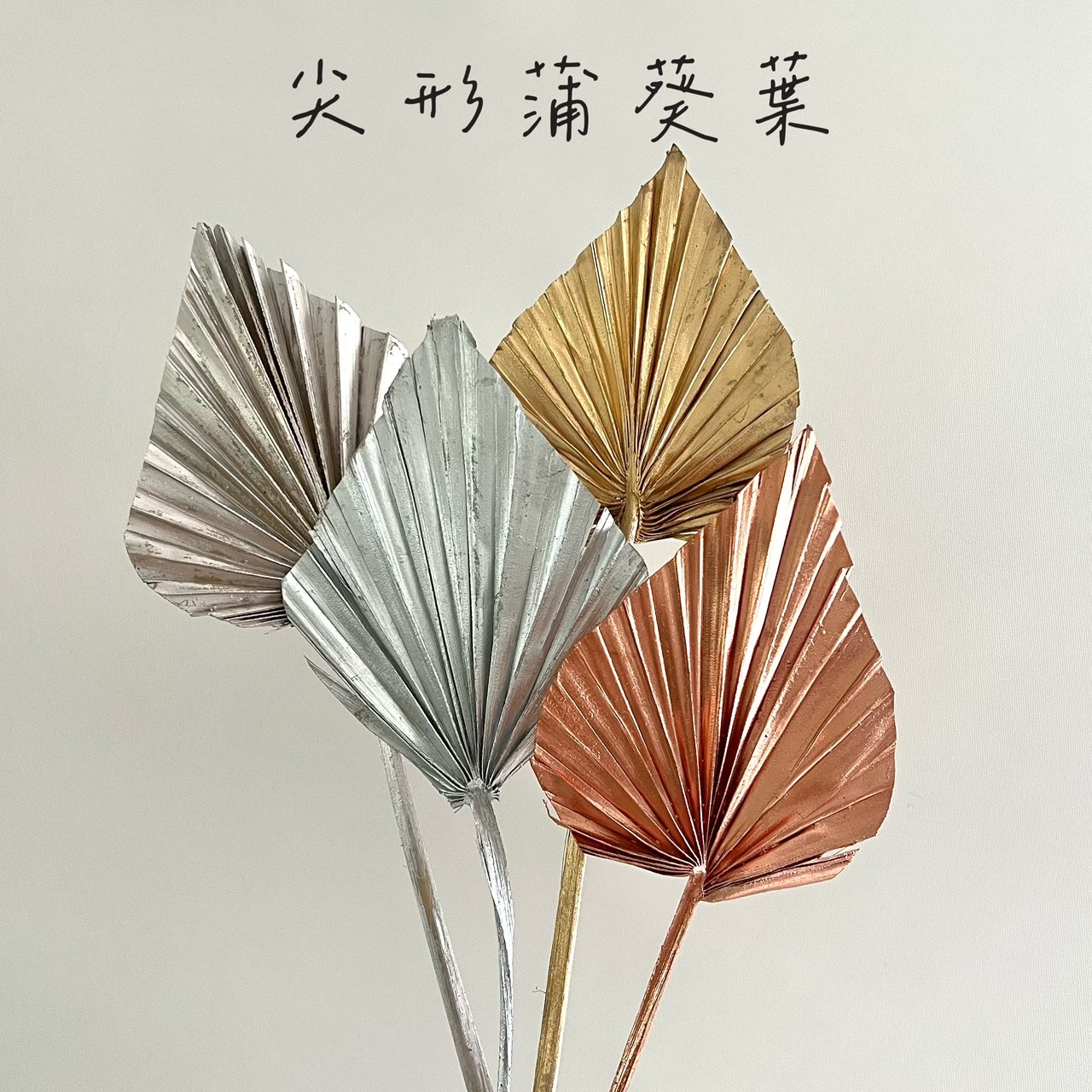 尖形蒲葵葉(5支)