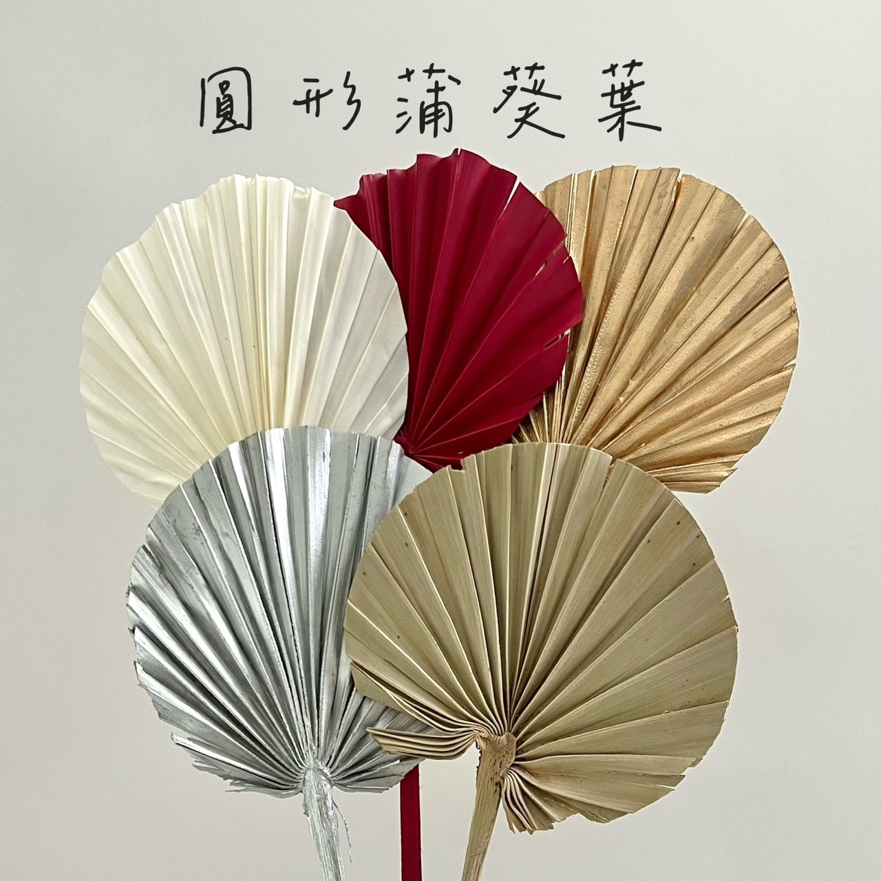 圓形蒲葵葉(5支)