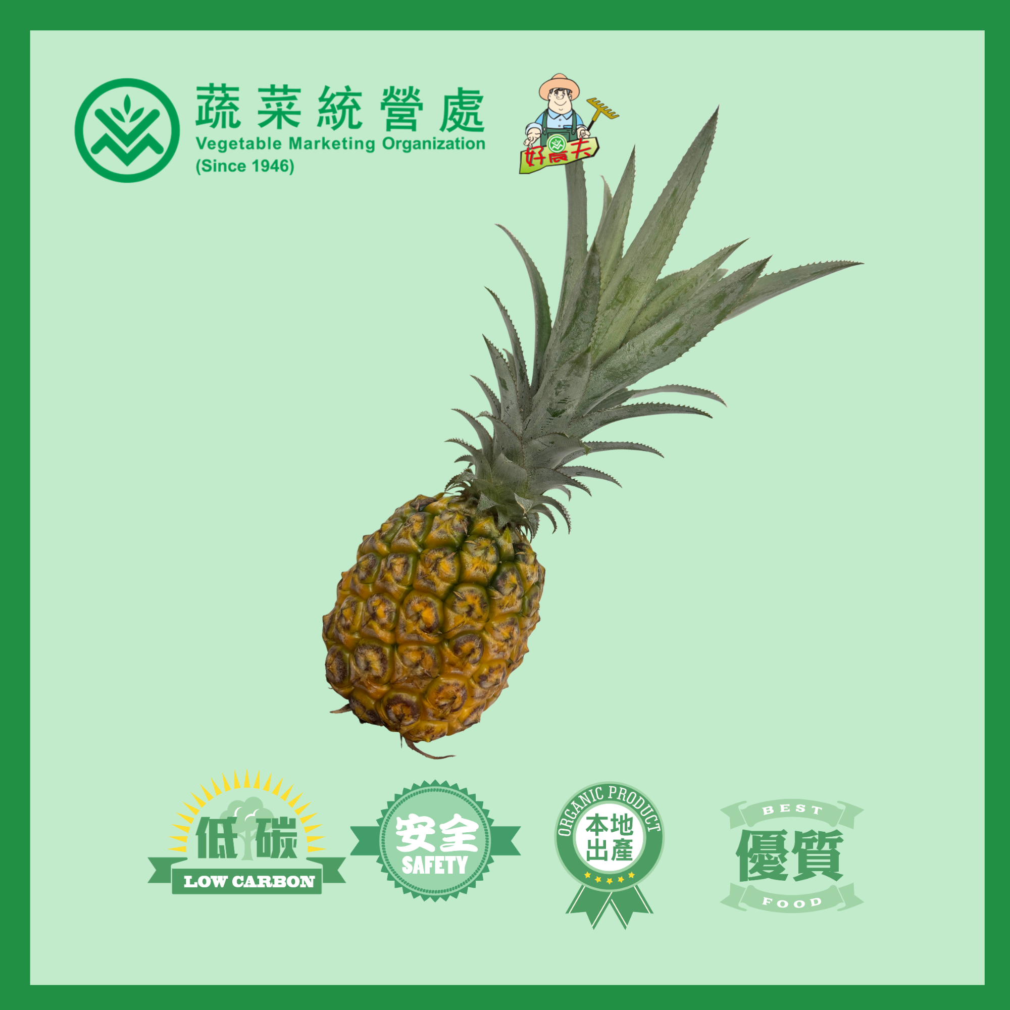 本地有機菠蘿 (2斤/包)