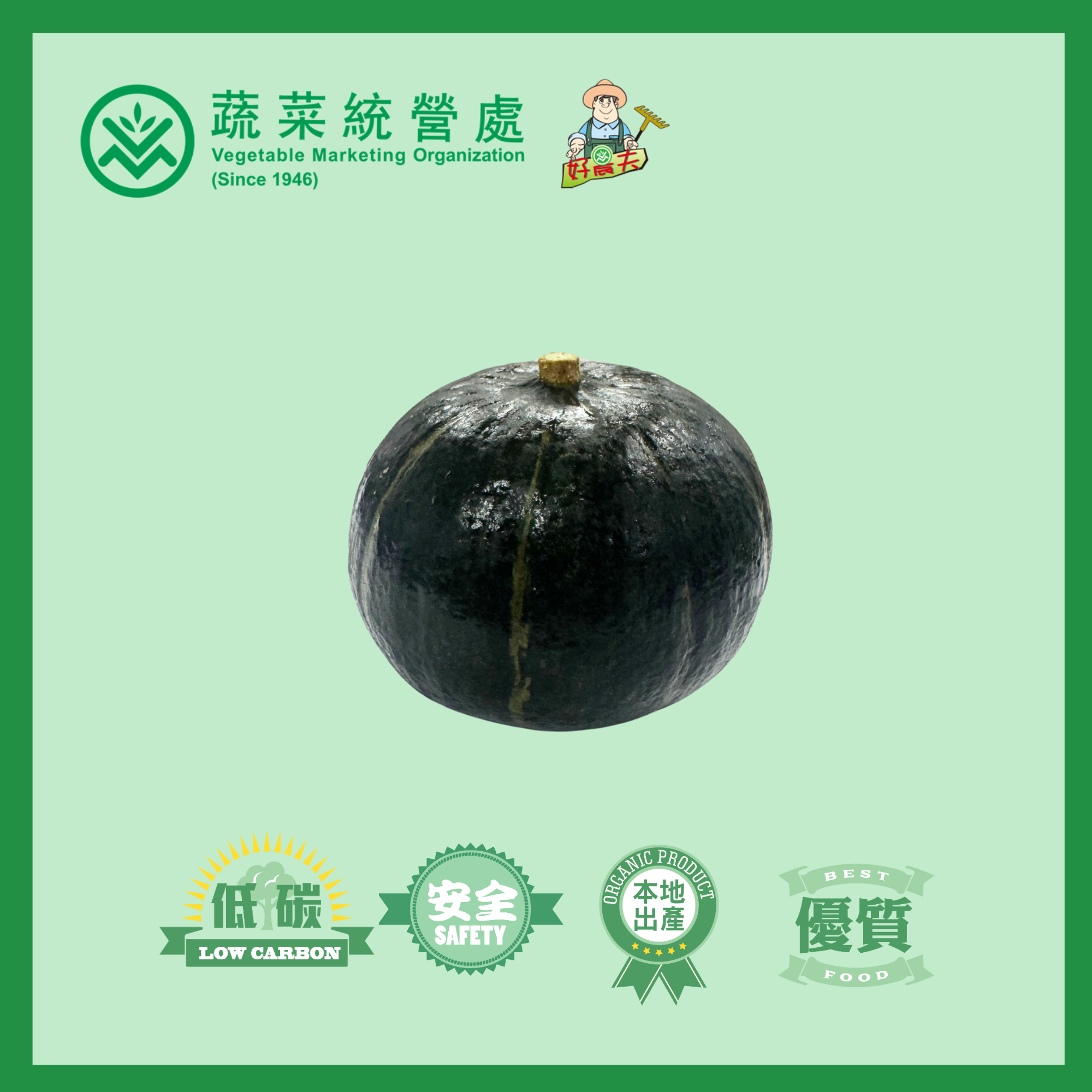 Local organic Japan Pumpkin (bag)