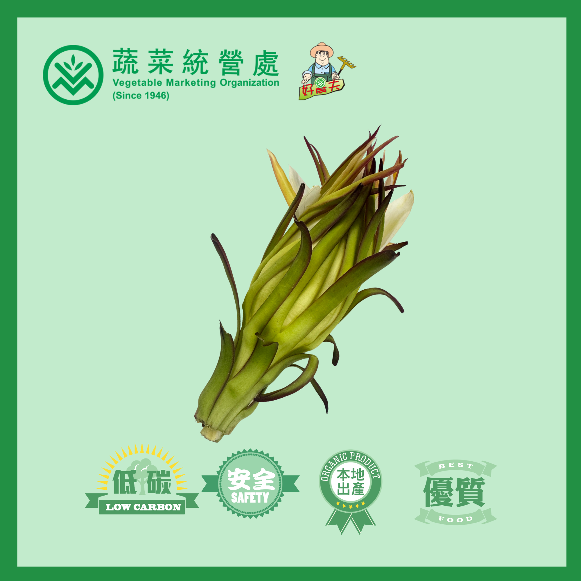 本地有機霸王花 (火龍果花)  (個)